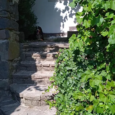 Vidiecky Domcek Na Samote Дом отдыха Horny Tisovnik