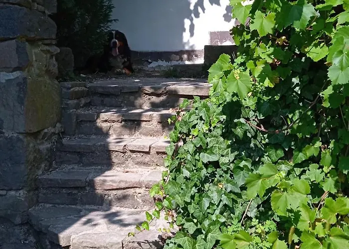 Vidiecky Domcek Na Samote Ferienhaus Horny Tisovnik